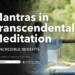 Mantras in Transcendental Meditation