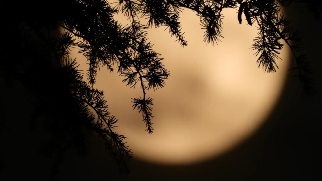 The Hunter's Moon 2024 on October 17 Don't Miss This Full Moon Event